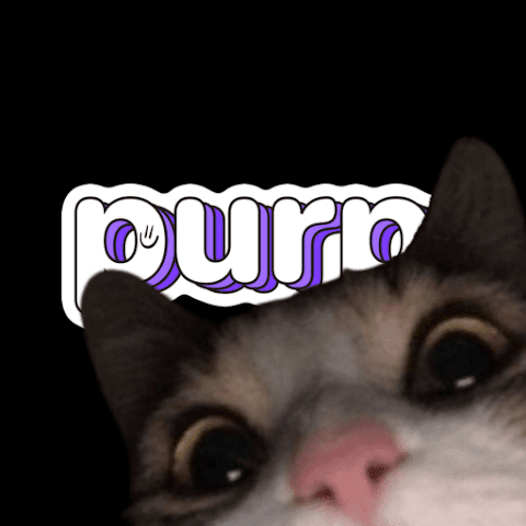 purp logo